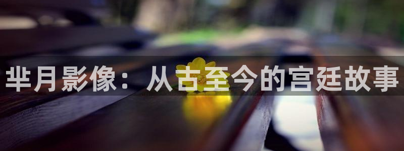 长乐曲金牌影院：芈月影像：从古至今的宫廷故事