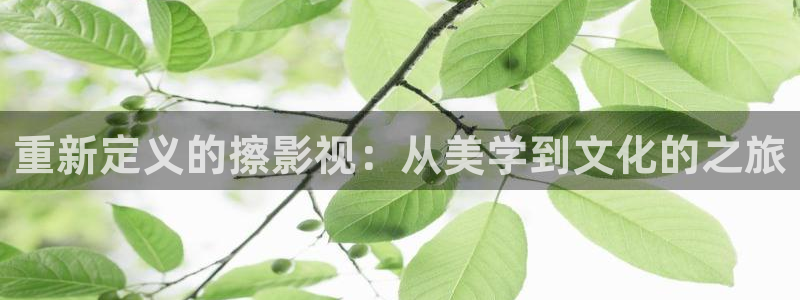 金牌影院雁回时：重新定义的擦影视：从美学到文化的之旅