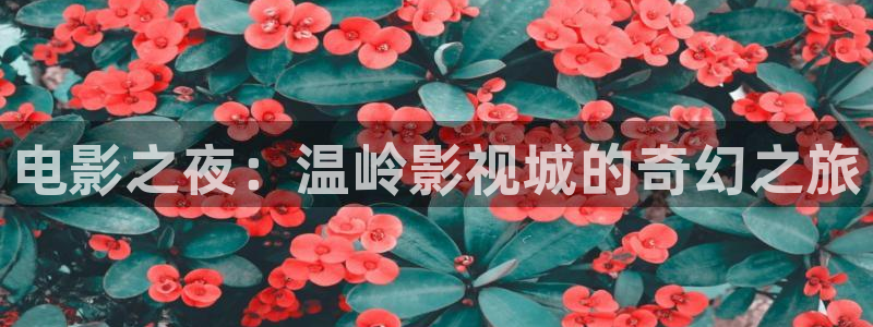 金牌影院官网首页入口：电影之夜：温岭影视城的奇幻之旅