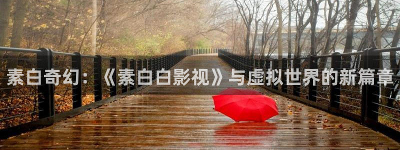 冲向金牌电影：素白奇幻：《素白白影视》与虚拟世界的新篇章