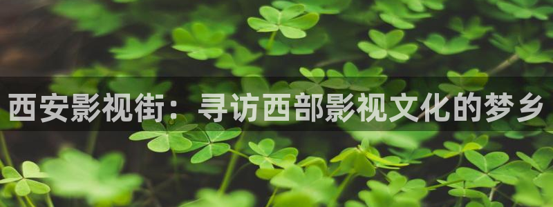 金牌影视app下载：西安影视街：寻访西部影视文化的梦乡