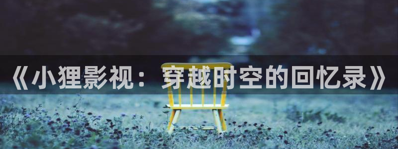 电影金牌：《小狸影视：穿越时空的回忆录》