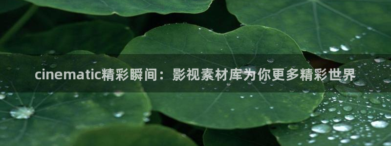 金牌女王韩国电影：cinematic精彩瞬间：影视素材库为你更多精彩世界