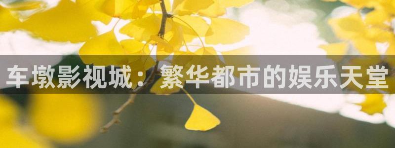 金牌特遣队电影免费观看：车墩影视城：繁华都市的娱乐天堂