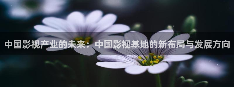 金牌荣耀电影在线观看：中国影视产业的未来：中国影视基地的新布局与发展方向
