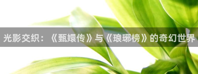 金牌销售电影免费：光影交织：《甄嬛传》与《琅琊榜》的奇幻世界
