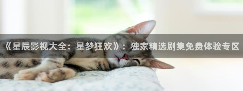 金牌女王电影完整版在线观看：《星辰影视大全：星梦狂欢》：独家精选剧集免费体验专区